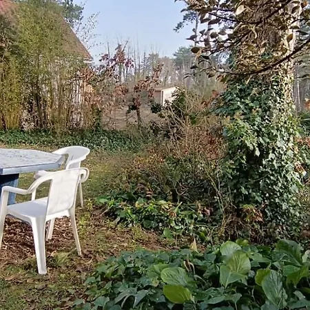 Charmante Maison Sous Les Pins *