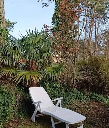 Holiday home Charmante Maison Sous Les Pins Quend