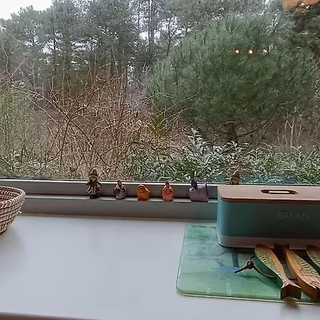 Charmante Maison Sous Les Pins
