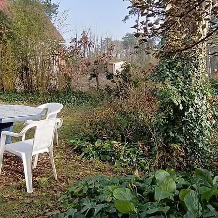 Charmante Maison Sous Les Pins Quend