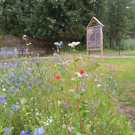 Charmante Maison Sous Les Pins *