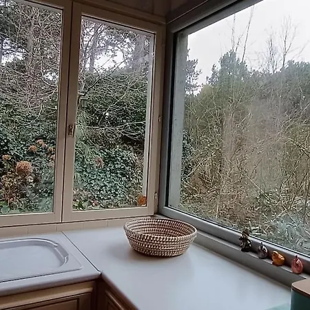 Charmante Maison Sous Les Pins * Quend