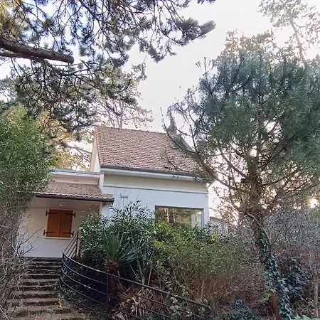 Charmante Maison Sous Les Pins Holiday home